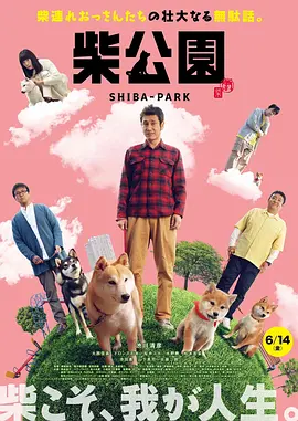 av在线黄色