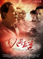 适合一个人看的电视